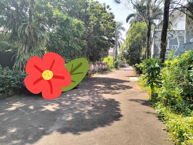 place photo 16