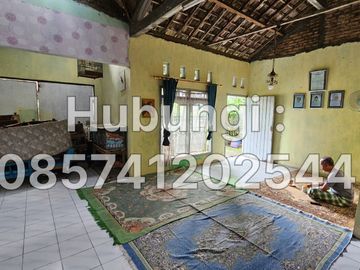 place photo 13