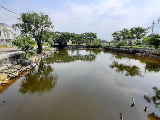 place photo 20