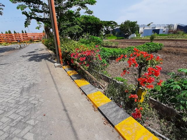 place photo 21