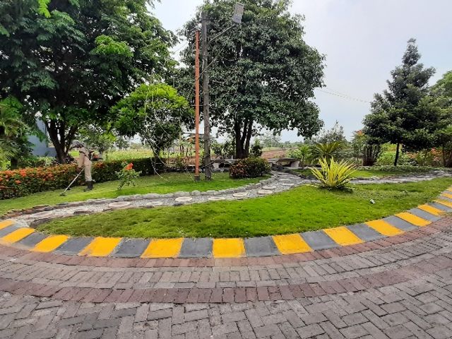 place photo 16