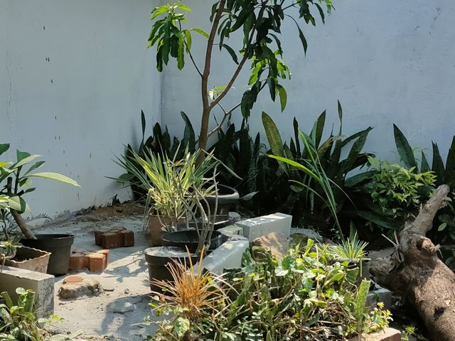 place photo 14