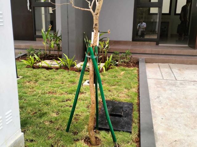 place photo 22