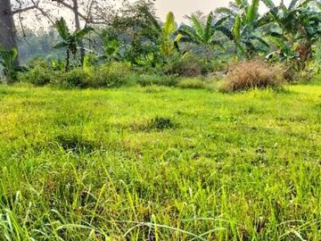 Jawa, PIDIE, Aceh, Indonesia