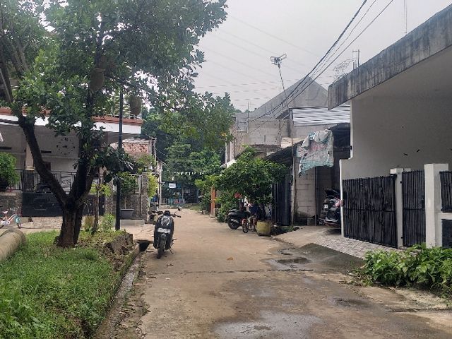 place photo 11