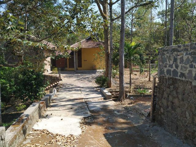 place photo 20