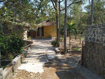 place photo 20