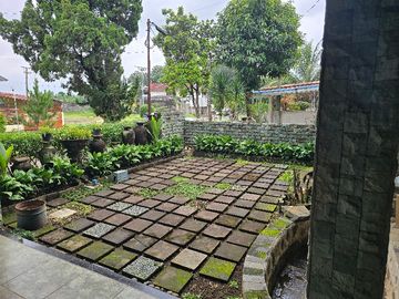 place photo 25