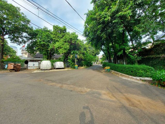 place photo 6