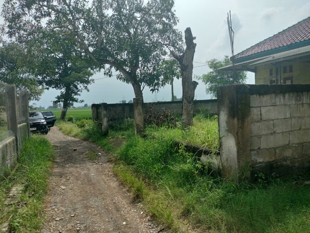 place photo 3
