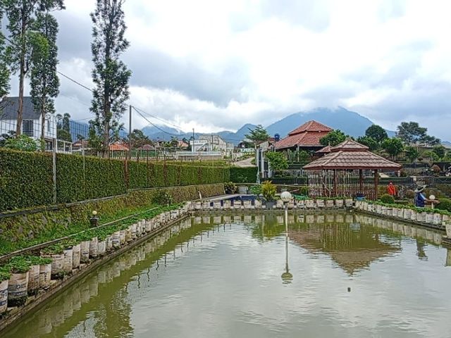 place photo 12