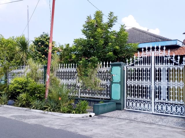 place photo 14