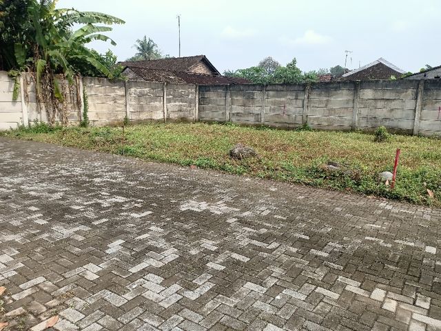 place photo 4