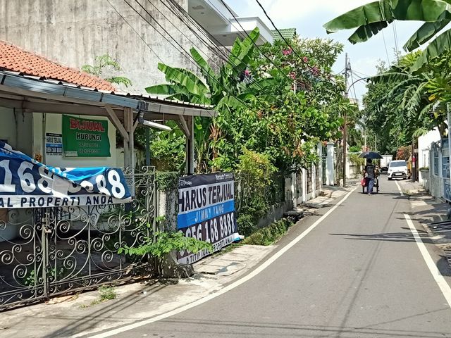 place photo 15
