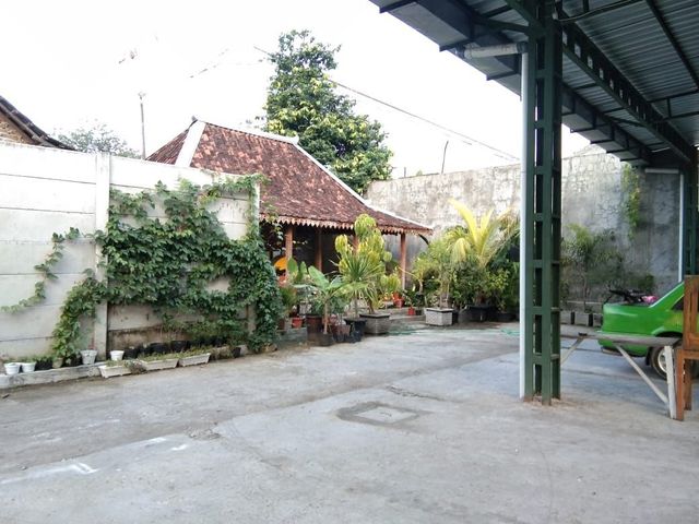 place photo 4