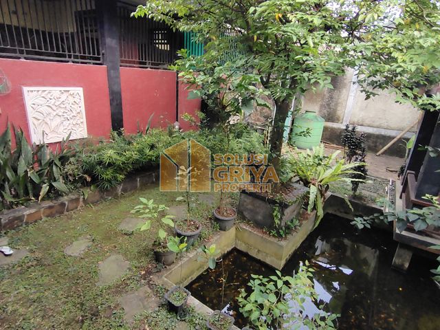 place photo 13