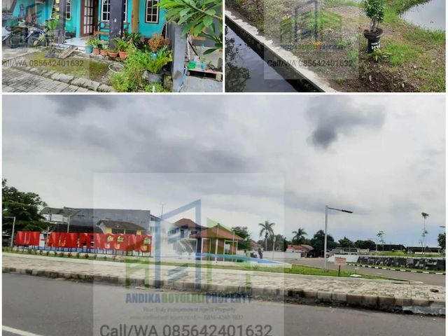place photo 1