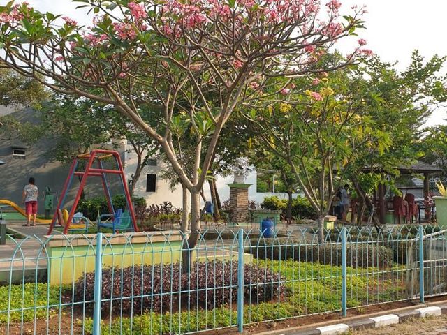 place photo 12