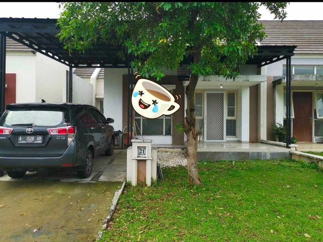place photo 1