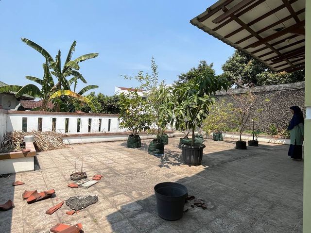 place photo 19