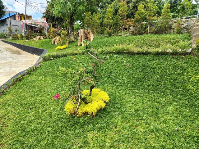 place photo 25