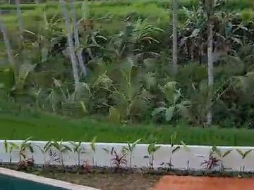 Pejeng, Bali, Indonesia - Garasi, Taman