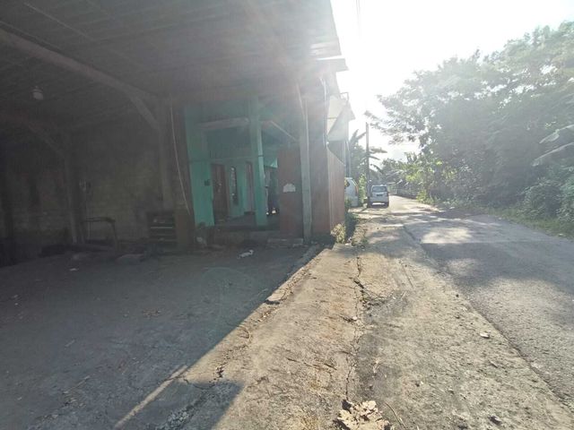place photo 17