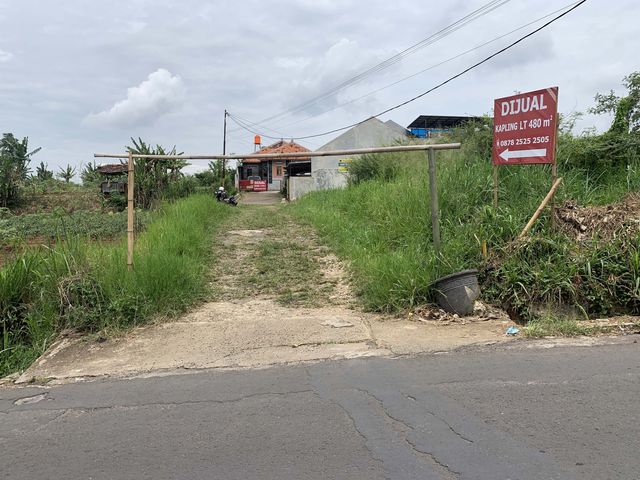 place photo 2
