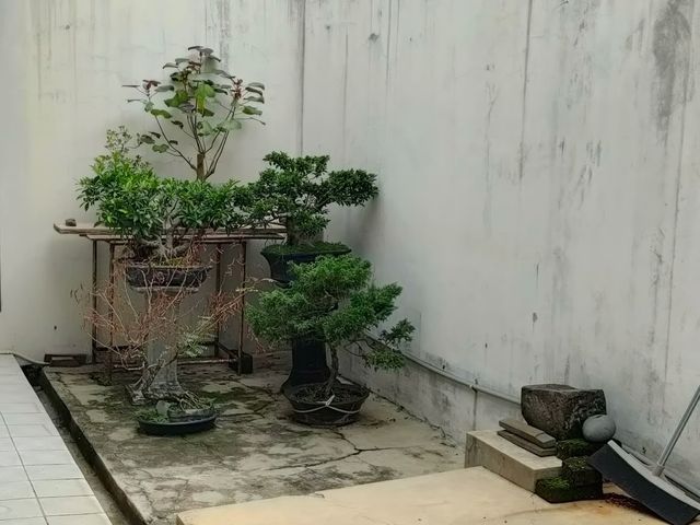 place photo 16