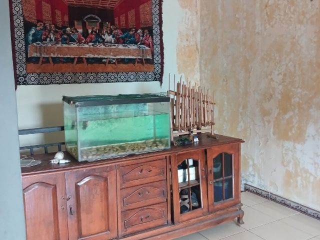 place photo 21