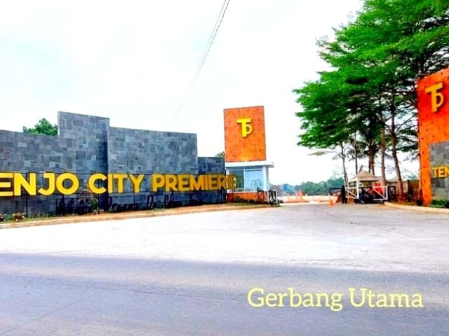 place photo 2
