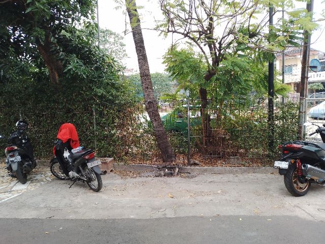 place photo 11