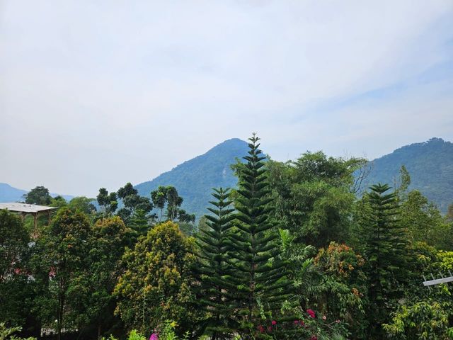 place photo 32