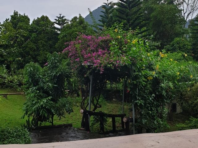 place photo 25
