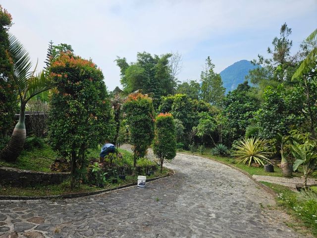place photo 29