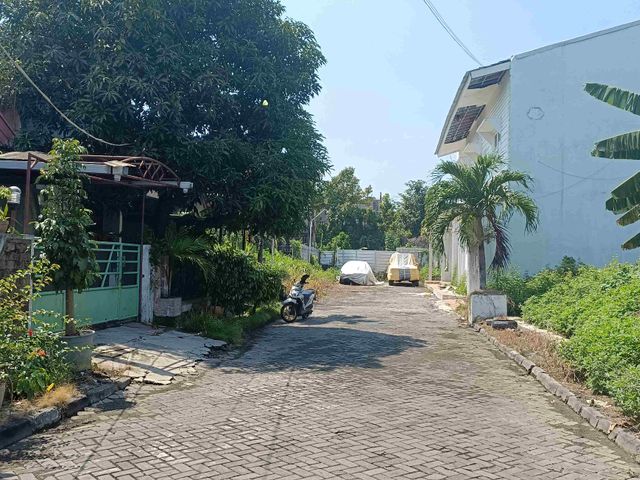place photo 7