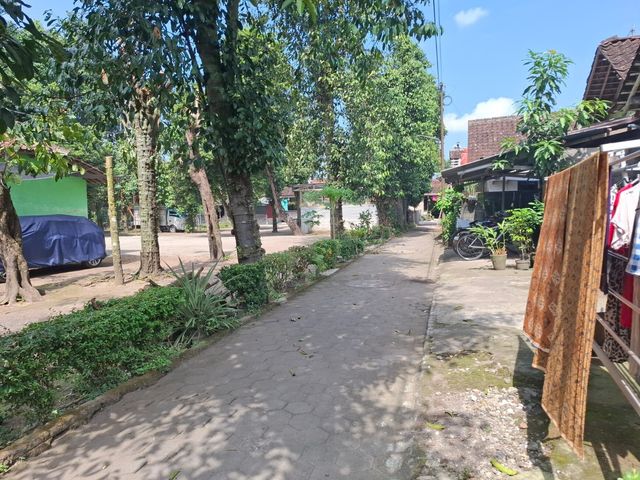 place photo 5