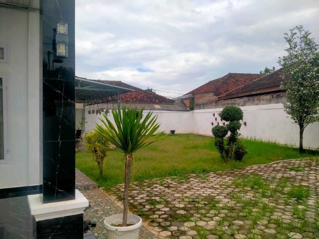 place photo 15