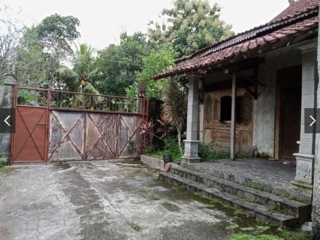 place photo 3
