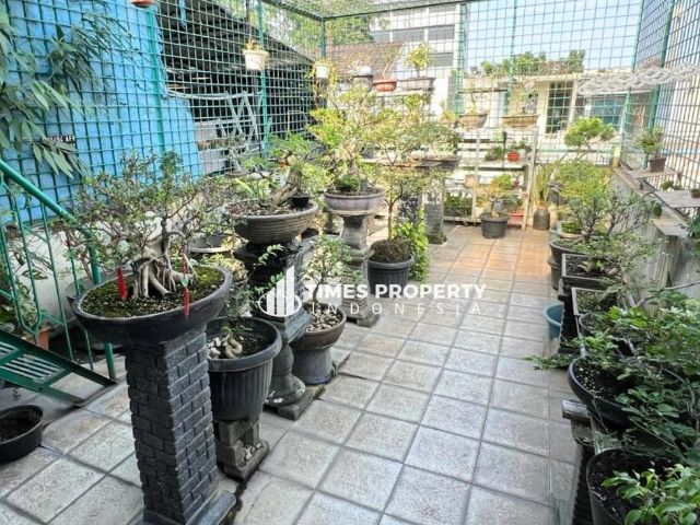 place photo 8