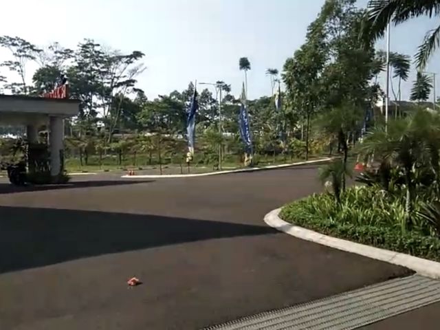 place photo 17