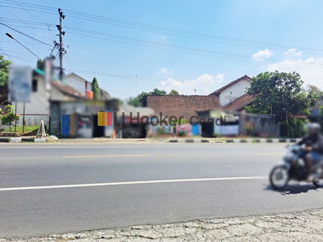 place photo 3