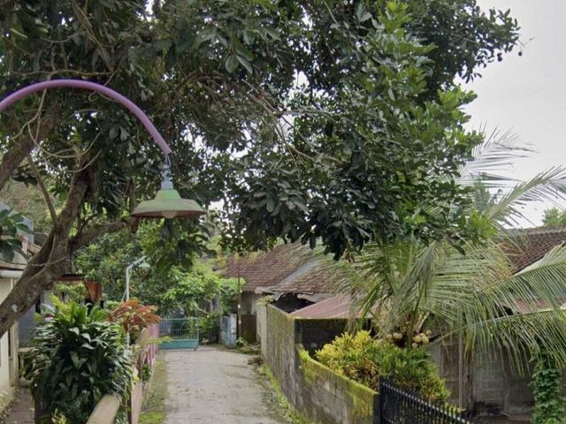 place photo 2
