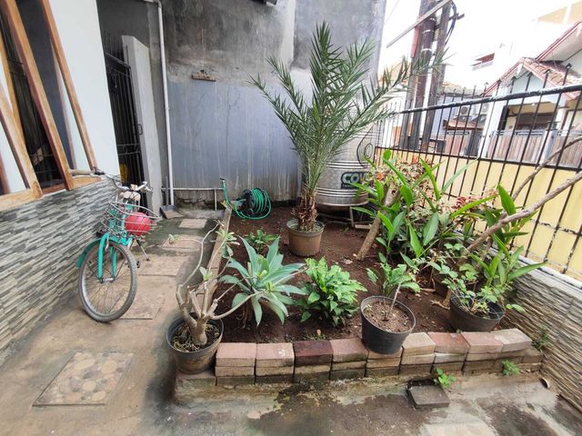 place photo 12