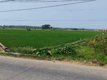 Mauk, TANGGERANG, Banten, Indonesia