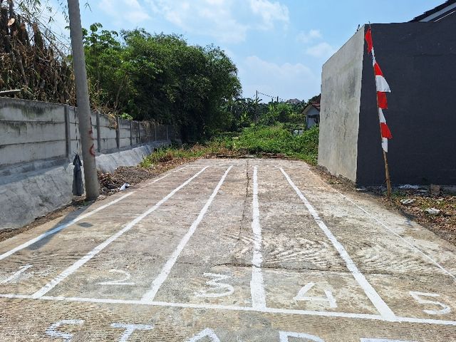 place photo 25