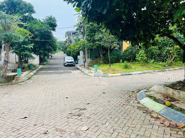 place photo 18