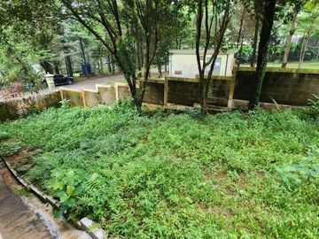 place photo 27
