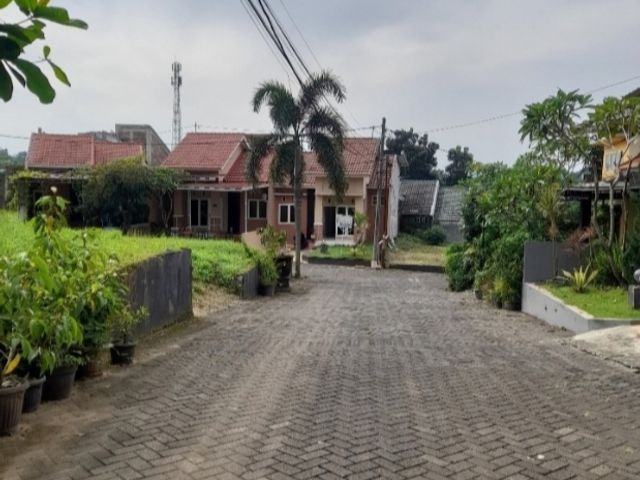 place photo 19