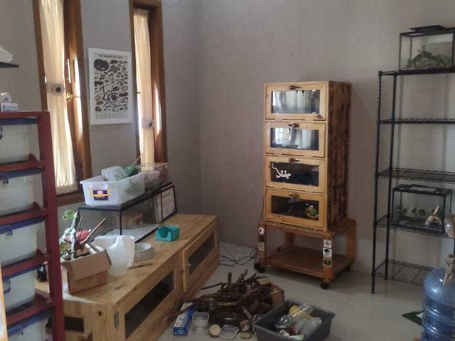 place photo 24